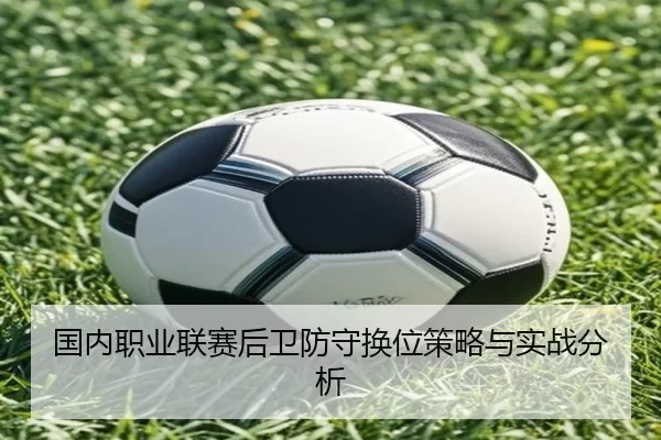 国内职业联赛后卫防守换位策略与实战分析